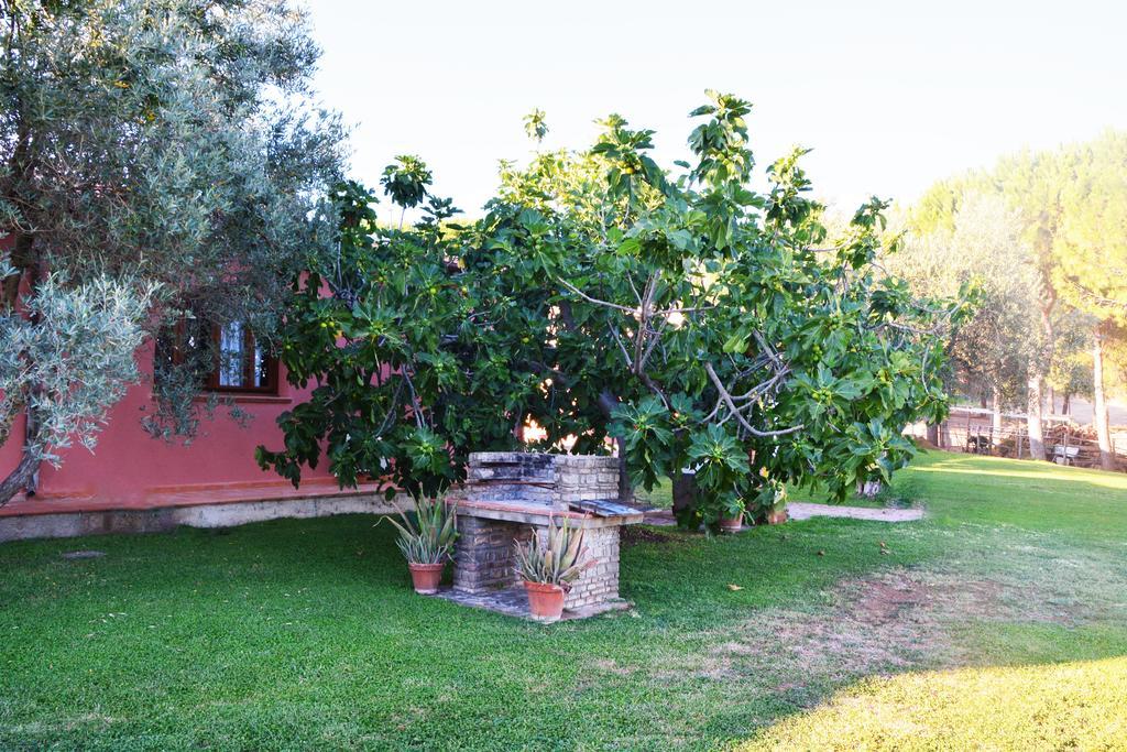 Agriturismo L'Aquilone Magliano in Toscana Extérieur photo