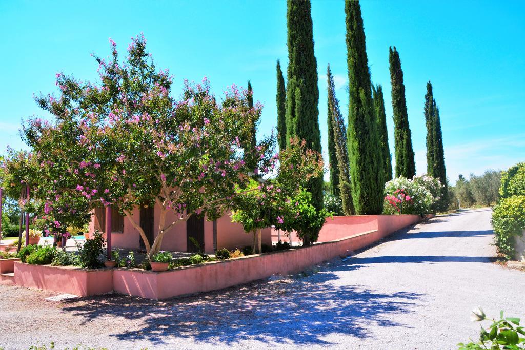Agriturismo L'Aquilone Magliano in Toscana Extérieur photo