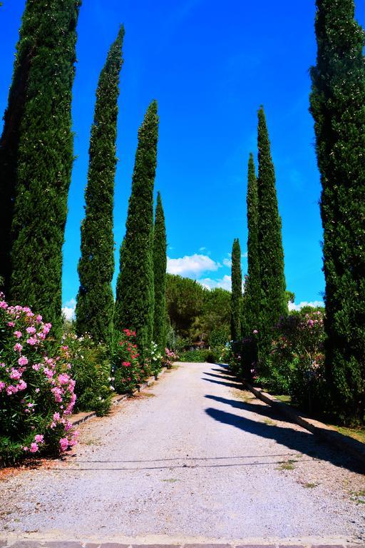 Agriturismo L'Aquilone Magliano in Toscana Extérieur photo