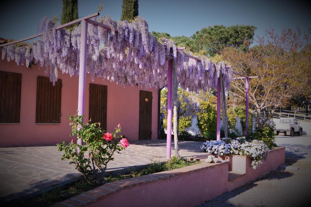 Agriturismo L'Aquilone Magliano in Toscana Extérieur photo