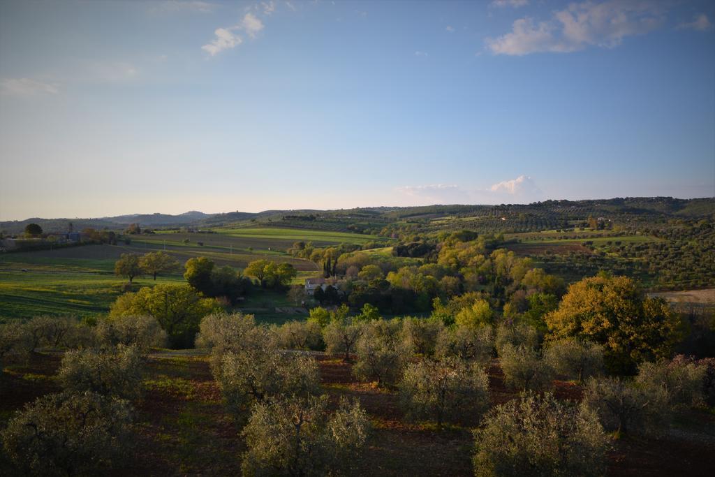 Agriturismo L'Aquilone Magliano in Toscana Extérieur photo